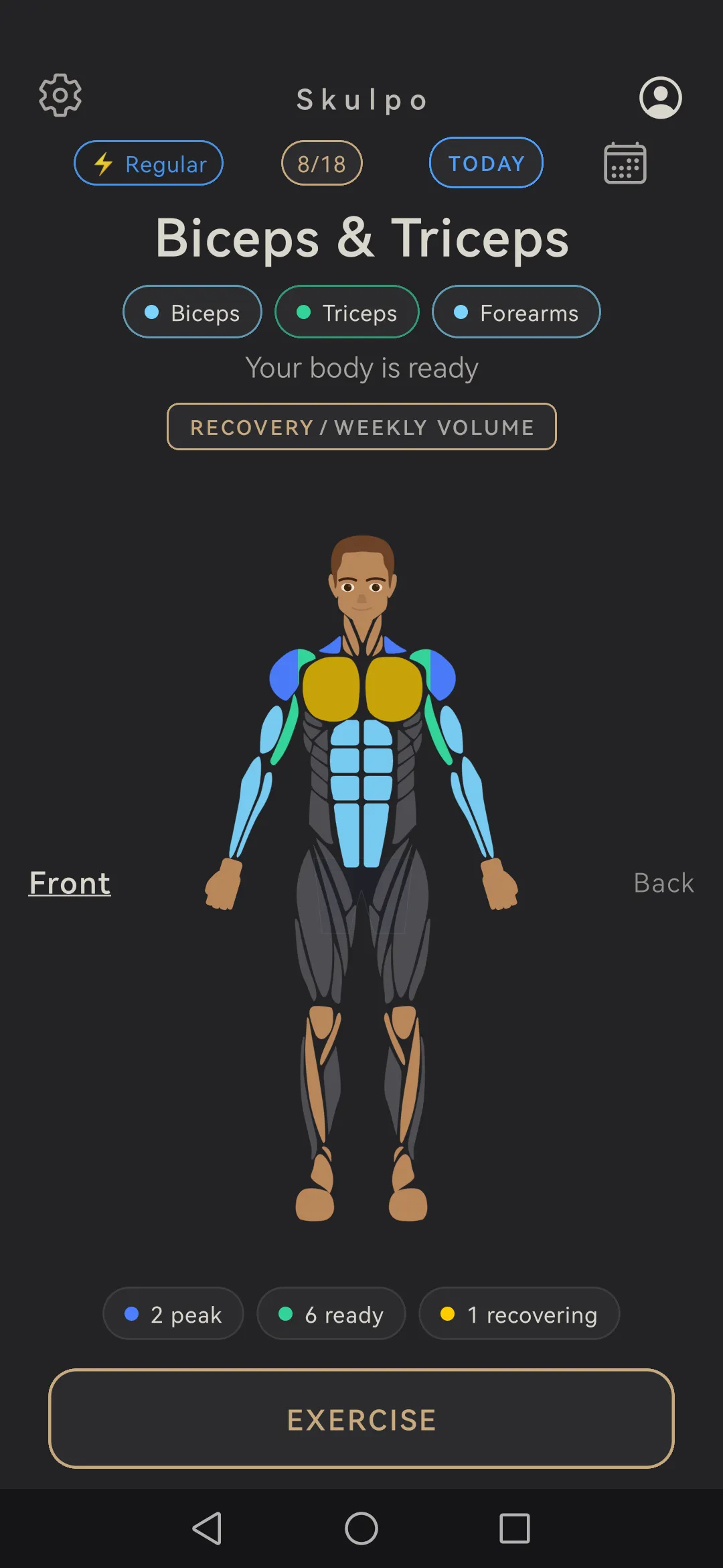 Skulpo home screen with the body map