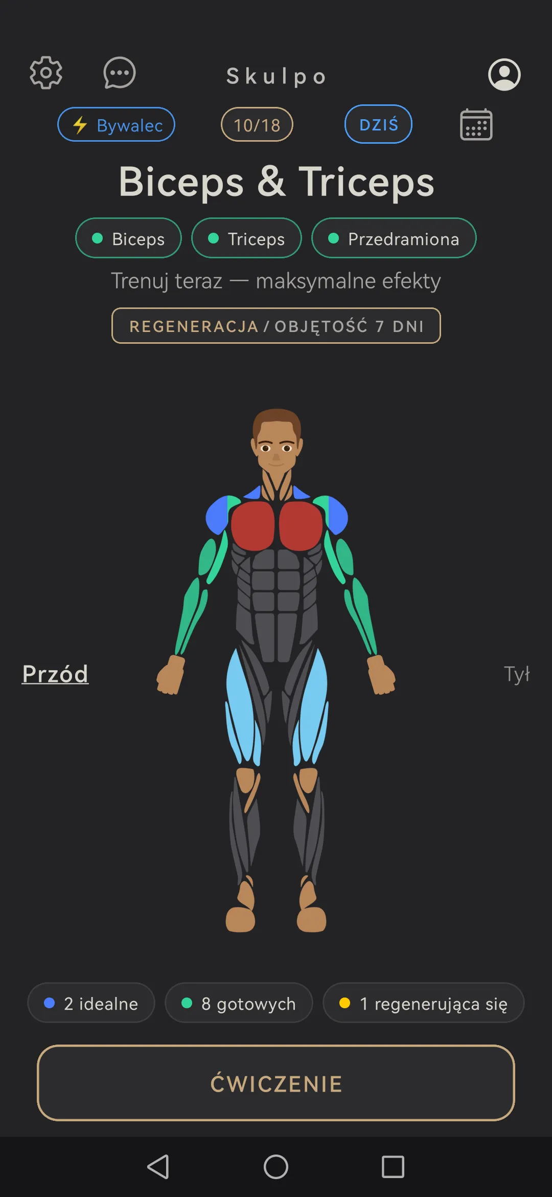 Ekran główny Skulpo z mapą ciała