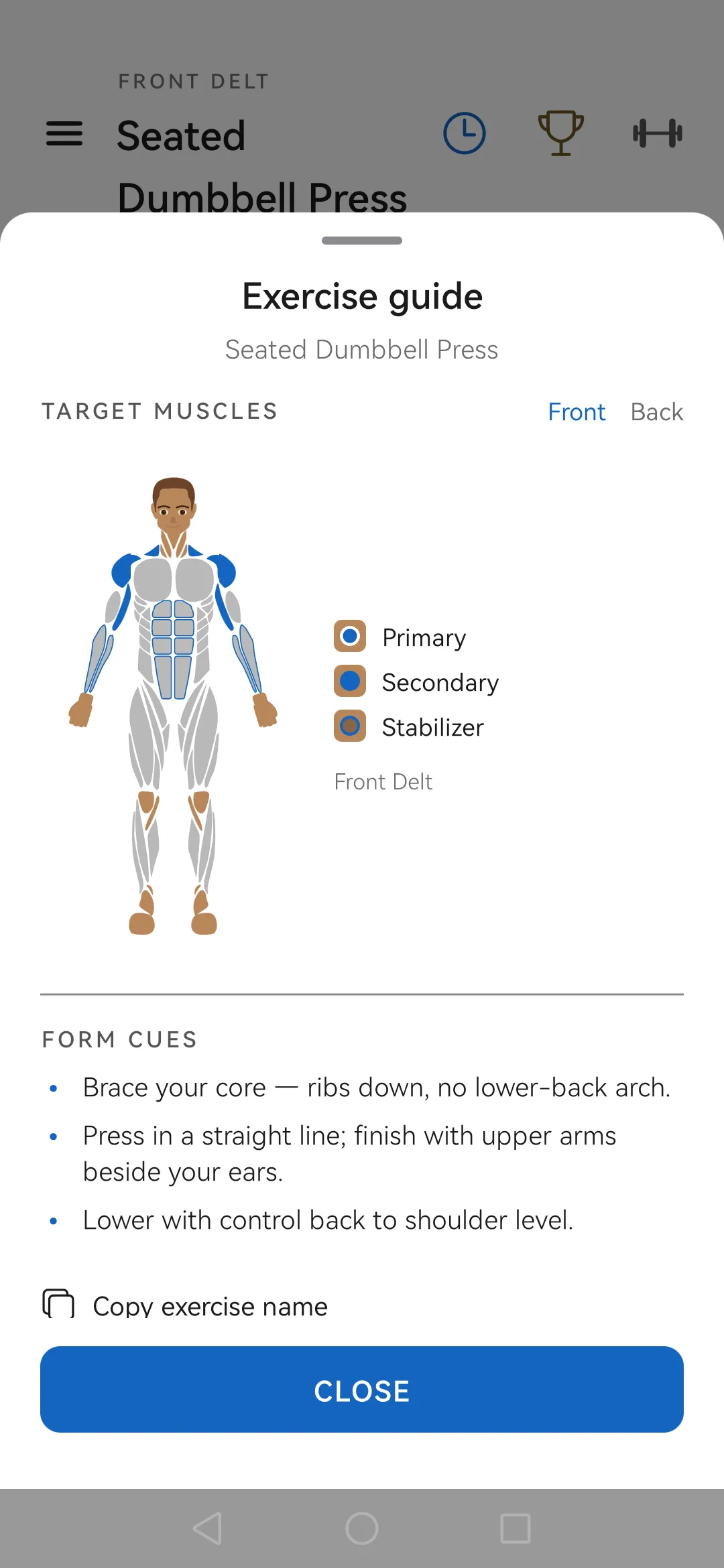 Skulpo how-to sheet with cues and a muscle-role figure