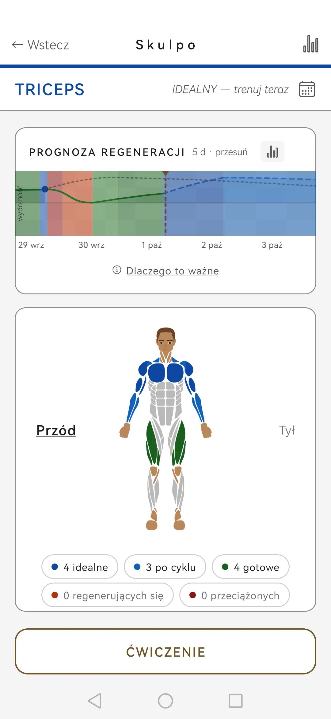 Ekran mięśnia w Skulpo z osią regeneracji