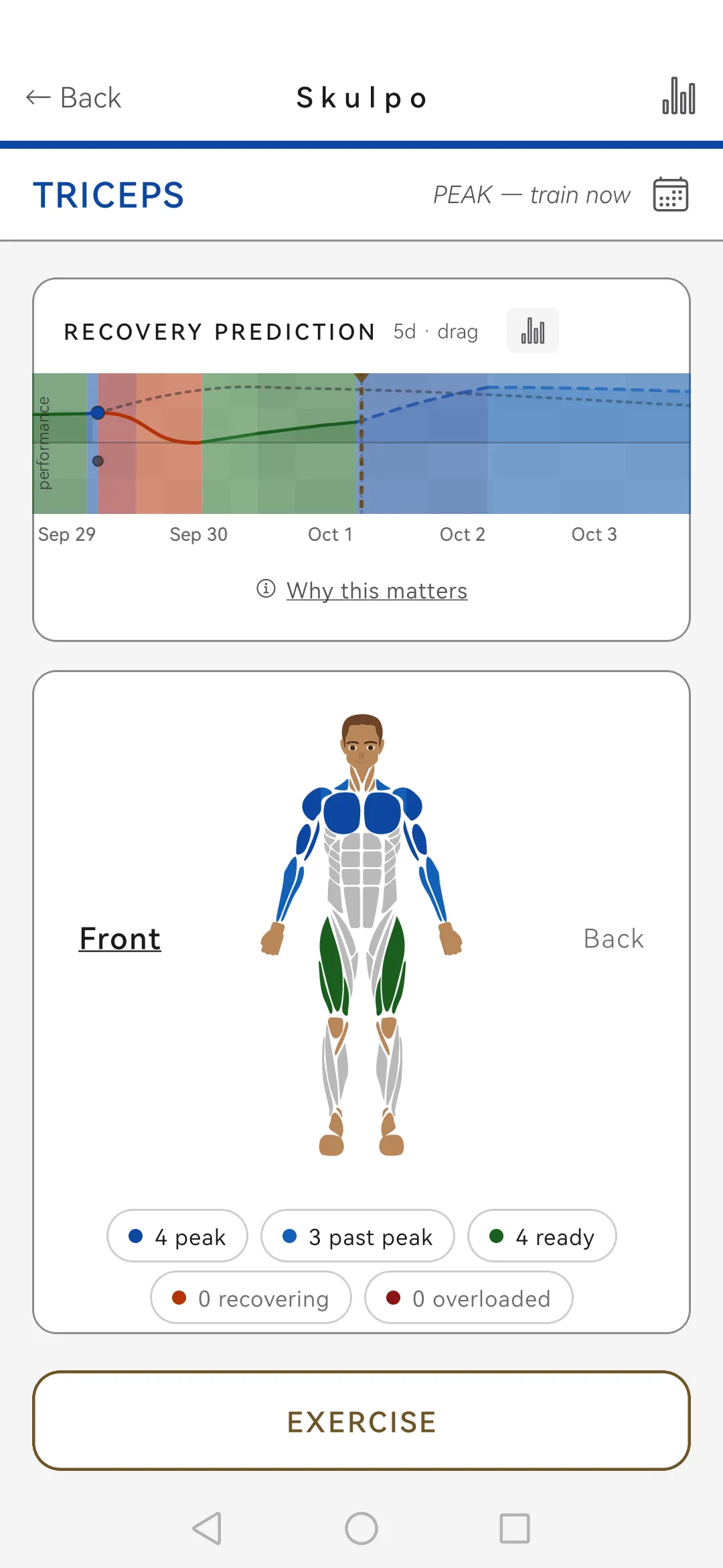 Skulpo muscle screen with the recovery timeline
